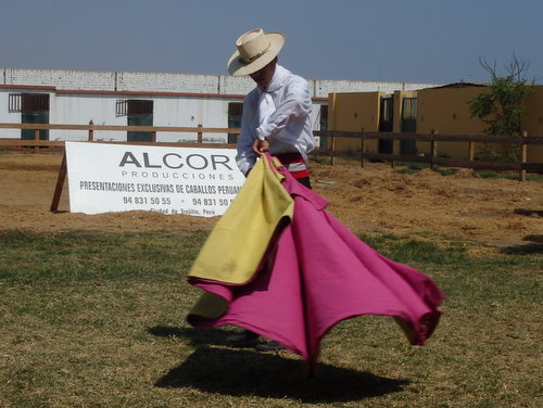 Peruvian Step Horse Show.
